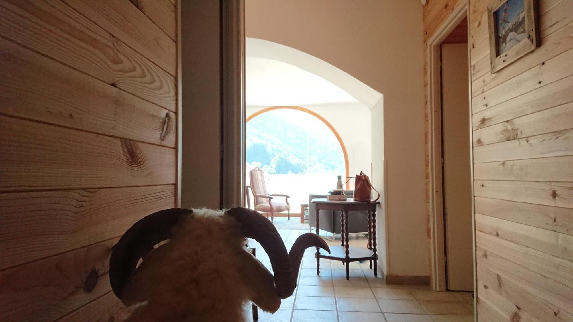 Superbe Logement 12 Pers Famille Ou Groupe. Laruns Dış mekan fotoğraf