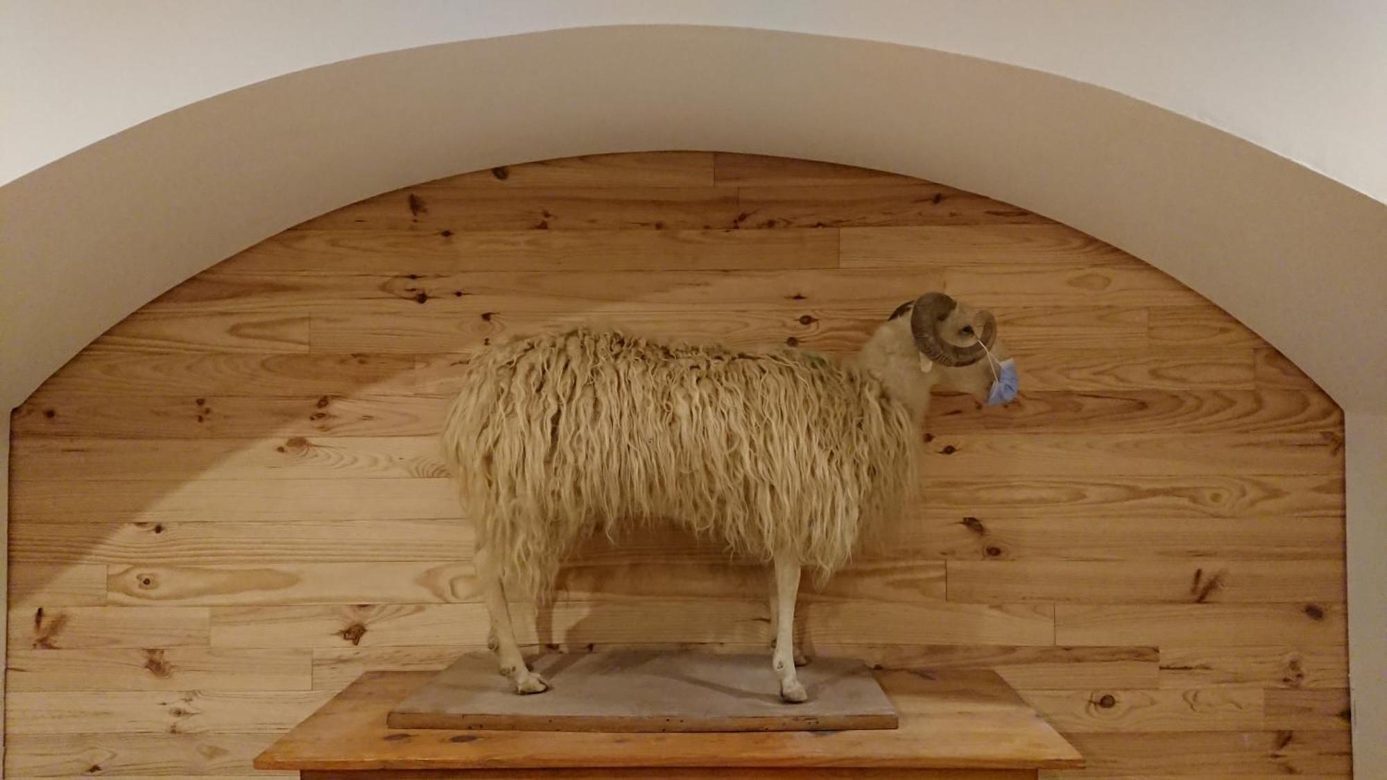 Superbe Logement 12 Pers Famille Ou Groupe. Laruns Dış mekan fotoğraf